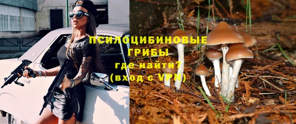 PSILOCYBIN Горнозаводск