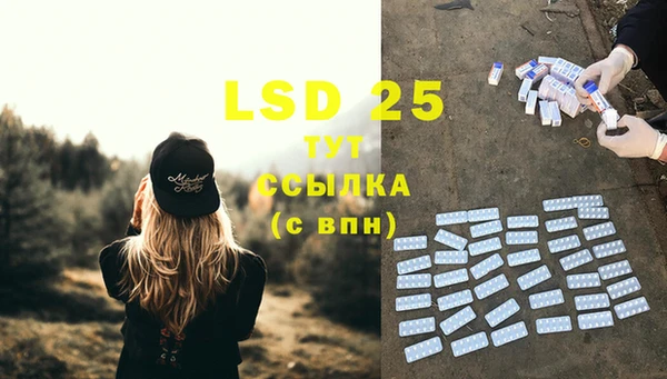 индика Липки