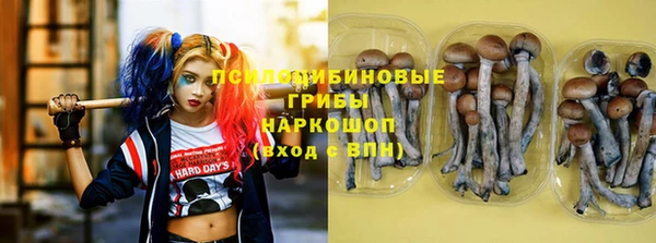 таблы Лиски