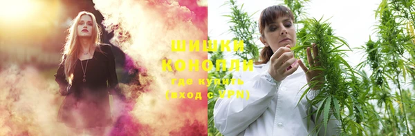 крисы Новоузенск
