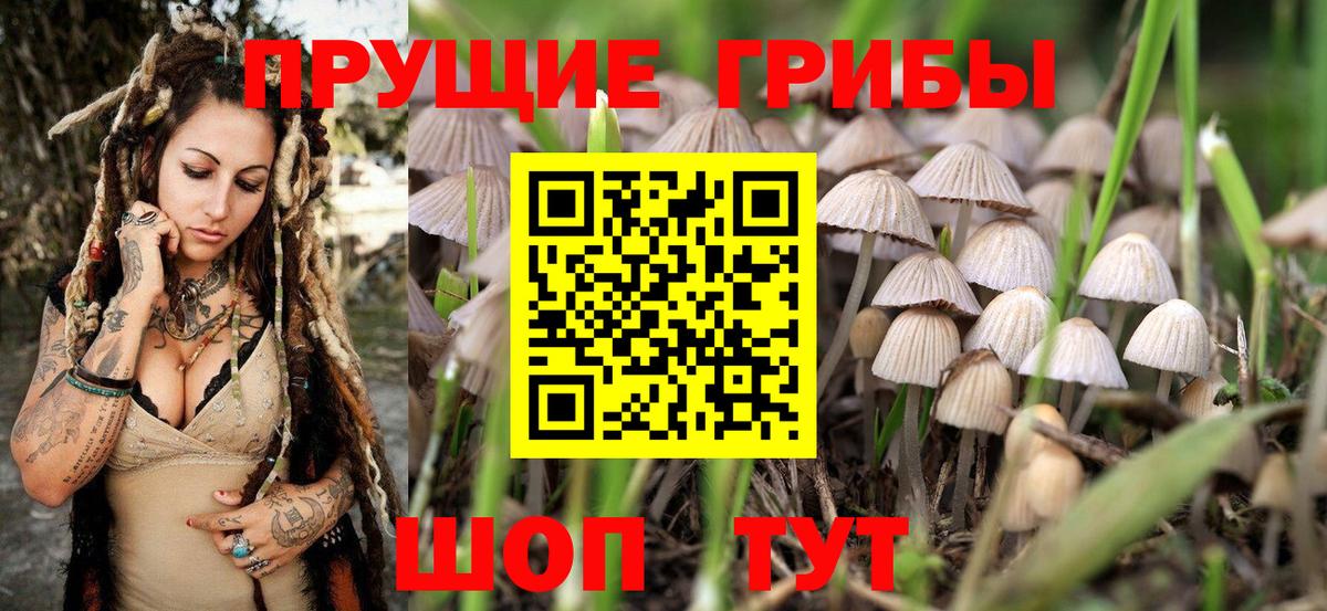 Псилоцибиновые грибы мицелий Шумерля