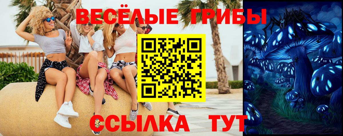 что такое   Псилоцибиновые грибы мухоморы  Шумерля  Галлюциногенные грибы Magic Shrooms 